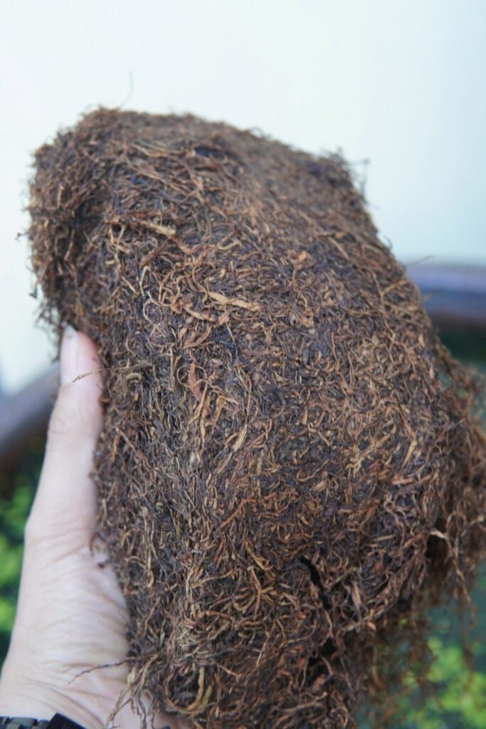 Thuốc Lào Viễn Dương - Đẳng Cấp Hương Vị, Trải Nghiệm Khác Biệt